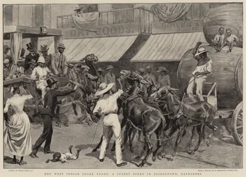 Der westindische Zuckerhandel, eine Straßenszene in Bridgetown, Barbados